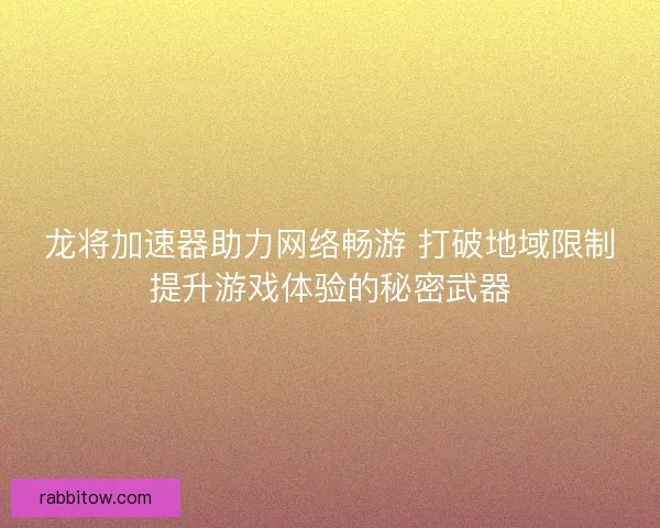 龙将加速器助力网络畅游 打破地域限制提升游戏体验的秘密武器