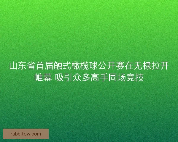 山东省首届触式橄榄球公开赛在无棣拉开帷幕 吸引众多高手同场竞技