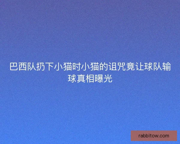 巴西队扔下小猫时小猫的诅咒竟让球队输球真相曝光