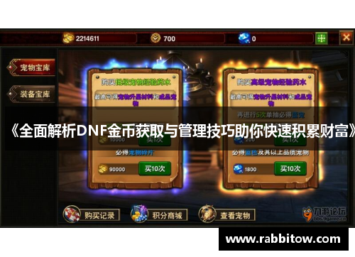 《全面解析DNF金币获取与管理技巧助你快速积累财富》