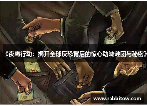 《夜鹰行动：揭开全球反恐背后的惊心动魄谜团与秘密》
